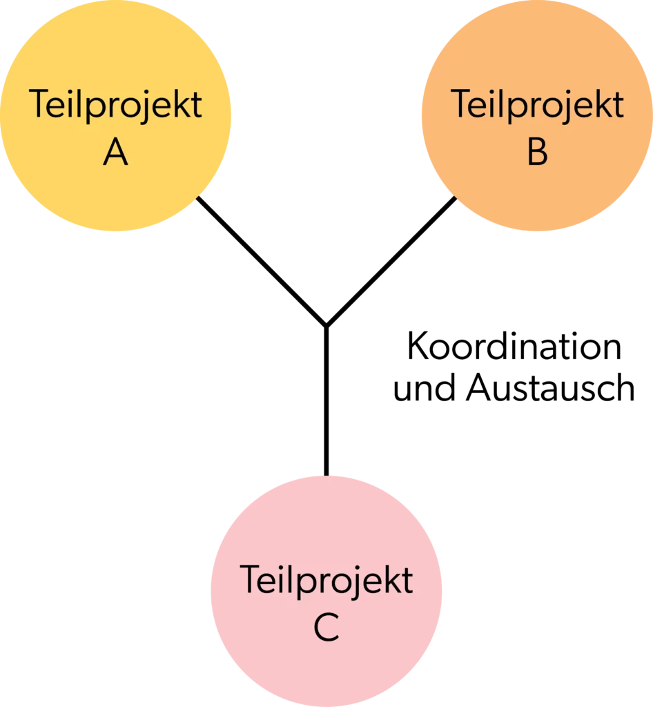 Bonjour – Societal Health Projektstruktur